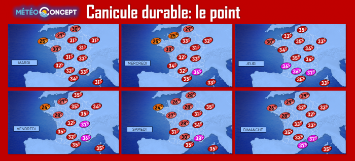 Illustration de l'actualité Canicule durable: le point