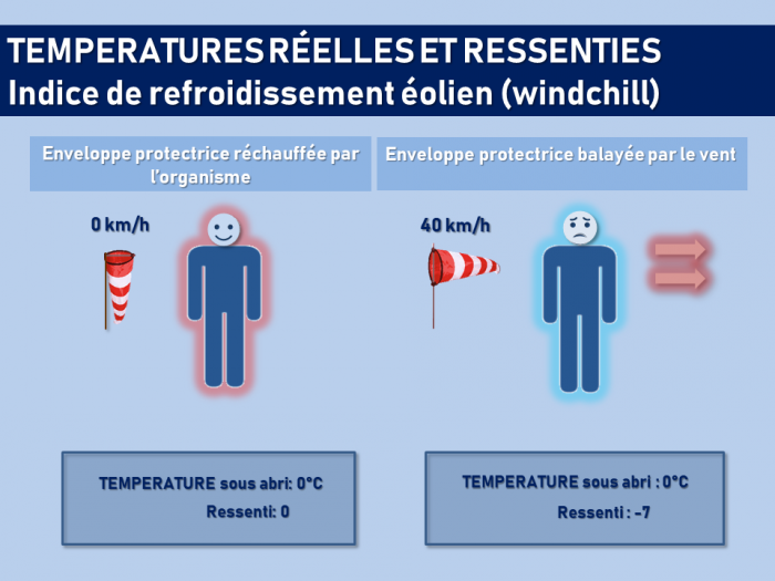 Illustration de l'actualité Température réelle/température ressentie