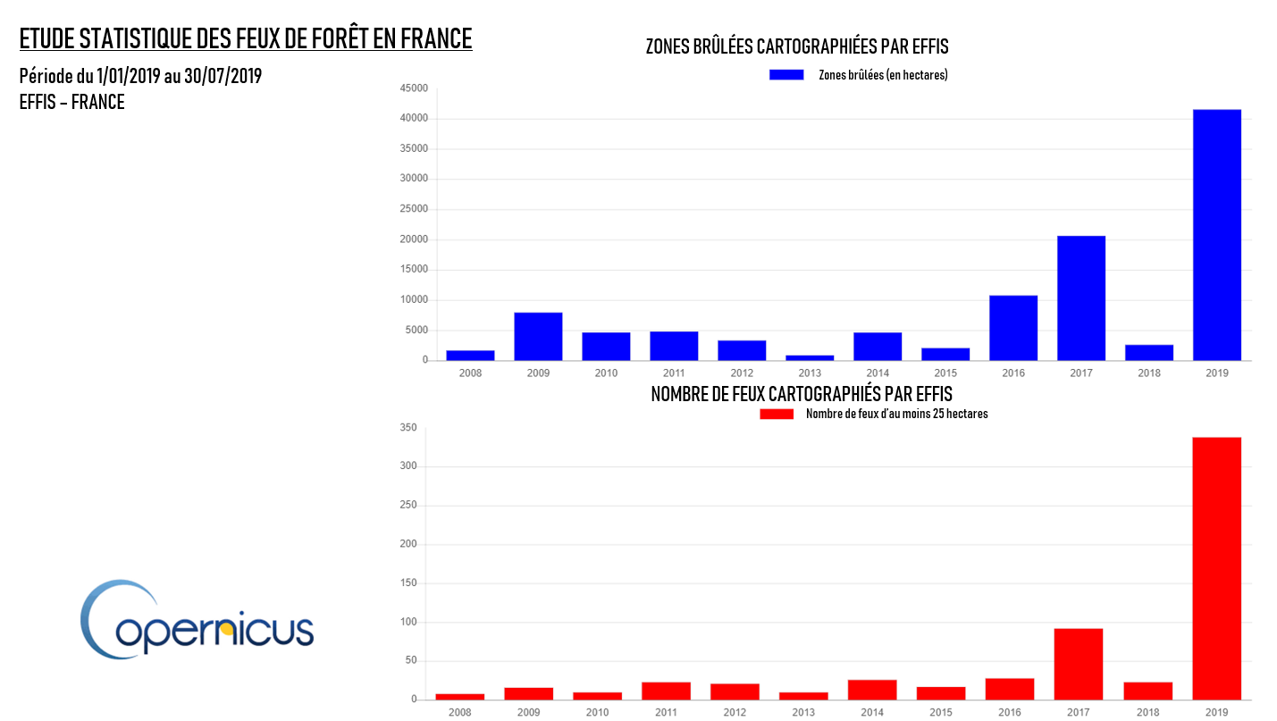 Illustration de l'actualité Feux de forêt: un semestre exceptionnel