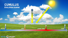 Illustration de l'actualité Pourquoi les cumulus se multiplient en journée ?