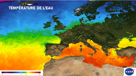 Illustration de l'actualité Quelles sont les températures de l'eau en cette mi-septembre ?