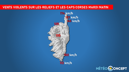 Illustration de l'actualité Des vents très puissants en Corse