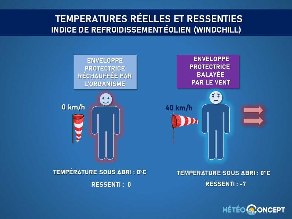 Image sans légende